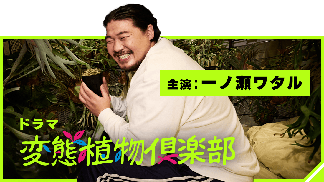 変態植物倶楽部 列島縦断！ひょうろくの未確認変態は何処に