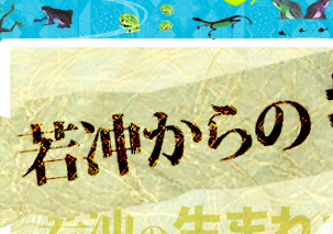 若冲からの･･･