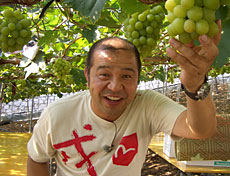 TVO テレビ大阪：掛布の遊びたいし！