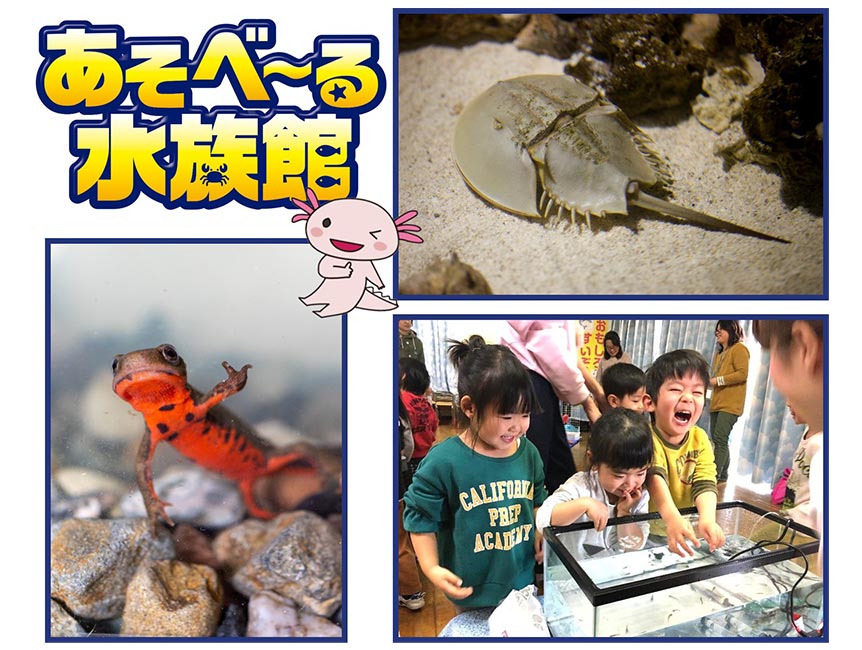 あそべ～る水族館