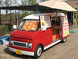 ベリーズ・カフェ