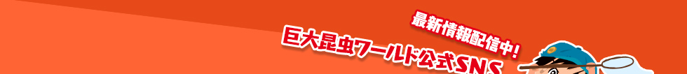 最新情報配信中！巨大昆虫ワールド公式SNS