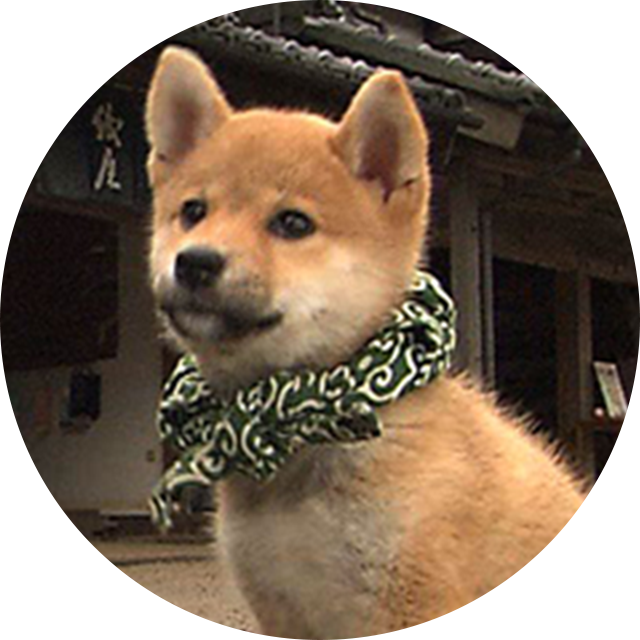 12代目