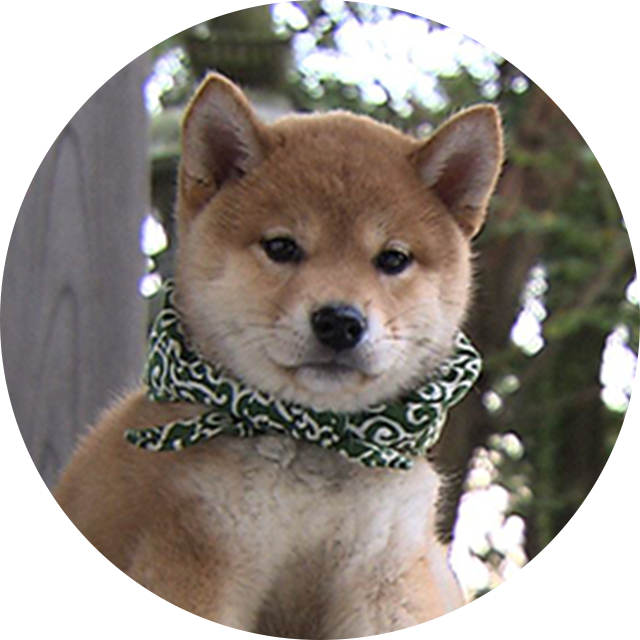 14代目