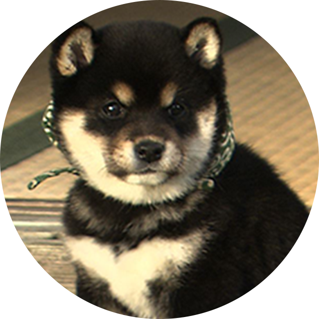 21代目