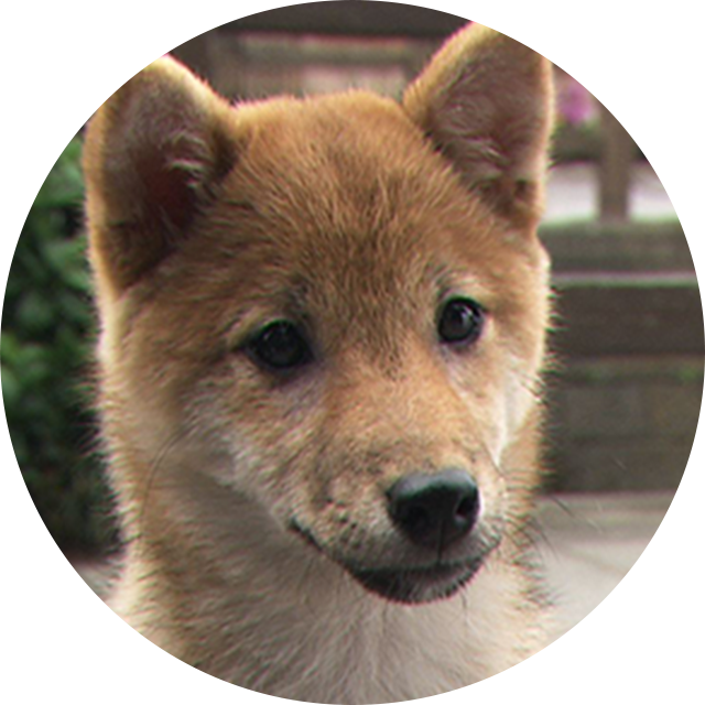 2代目