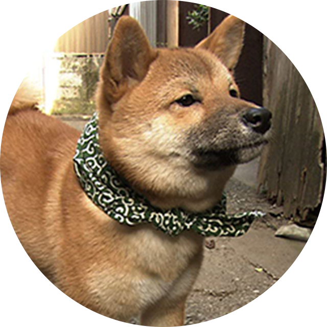 3代目
