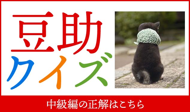 【豆助んち】25代目豆助カレンダーGETのチャンス! 豆助クイズ