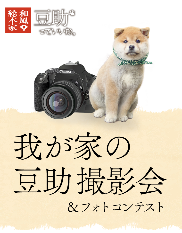 和風総本家 豆助っていいな。我が家の豆助撮影会＆フォトコンテスト