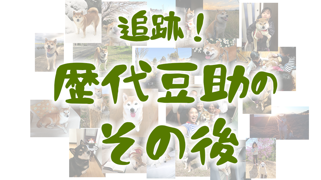 追跡！歴代豆助のその後