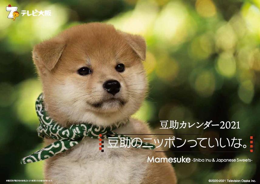 豆助のニッポンっていいな。 | Mamesuke -Shiba Inu ＆ Japanese