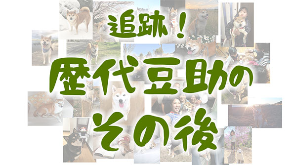 追跡！歴代豆助のその後