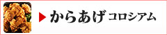  からあげコロシアム