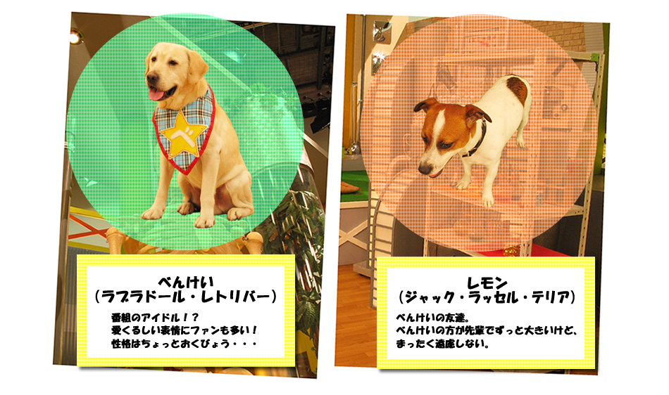 �ׂ񂯂��A������