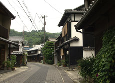 今週の風景その2