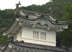 今週の風景その3