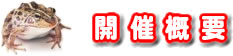 開催概要