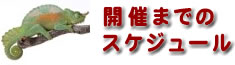 開催までのスケジュール