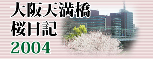 大阪天満橋桜日記2004