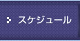 スケジュール