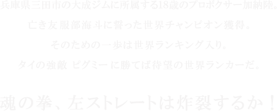兵庫県三田市の大成ジムに所属する18歳のプロボクサー加納陸。 亡き友服部海斗に誓った世界チャンピオン獲得。 そのための一歩は世界ランキング入り。 タイの強敵 ピグミーに勝てば待望の世界ランカーだ。 魂の拳、左ストレートは炸裂するか！