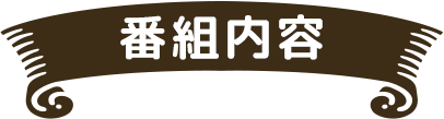 番組内容