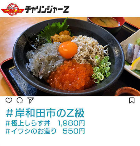 岸和田市のZ級