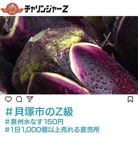 貝塚市のZ級