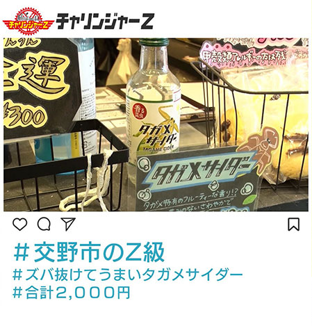交野市のZ級