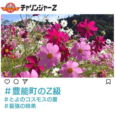 豊能町のZ級