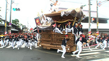 岸和田だんじり祭15 Tvo テレビ大阪 岸和田だんじり祭15 Tvo テレビ大阪
