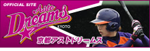 女子プロ野球 京都アストドリームス