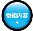 番組内容