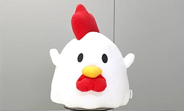 ローソンからあげくん 写真04