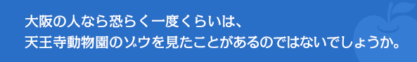 大阪の人なら恐らく一度くらいは、天王寺動物園のゾウを見たことがあるのではないでしょうか。