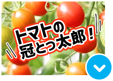 トマトの冠とっ太郎！