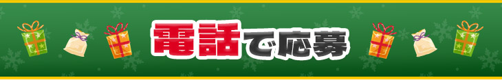 電話から応募