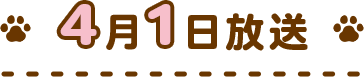 4月1日放送