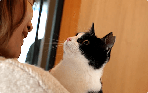 4月29日放送