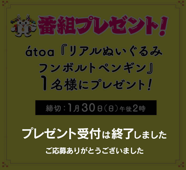 átoa『リアルぬいぐるみ フンボルトペンギン』1名様にプレゼント！