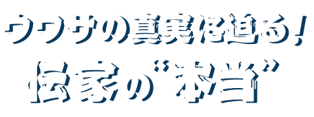 ウワサの真実に迫る！伝家の“本当
