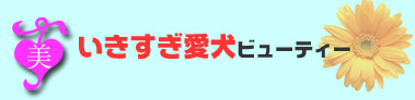 いきすぎ愛犬ビューティー