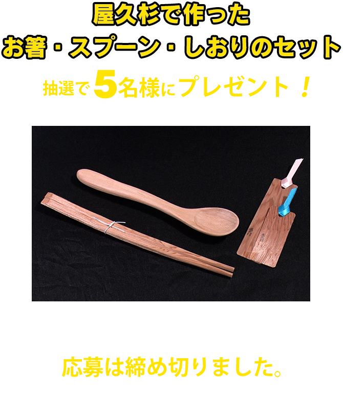 「屋久杉で作ったお箸・スプーン・フォーク」セットの応募は終了しました。