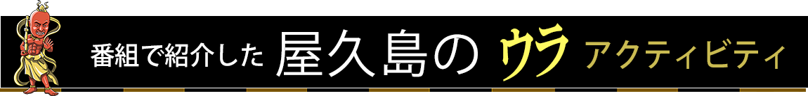 番組で紹介した屋久島のウラアクティビティ