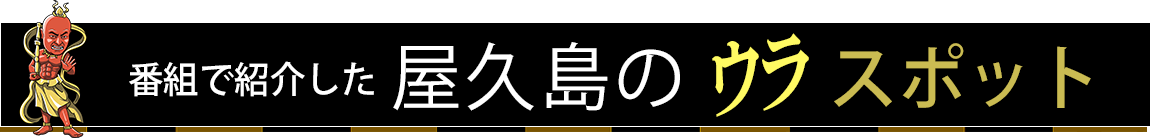 番組で紹介した屋久島のウラアクティビティ