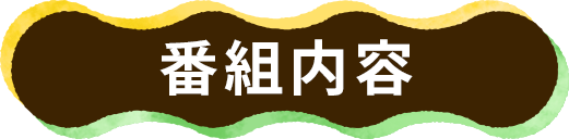 番組内容
