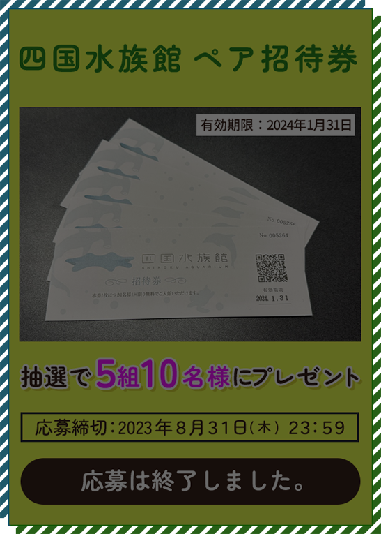 四国水族館 ペア招待券をを抽選で5組10名様にプレゼントの応募は終了しました。