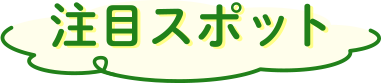 注目スポット