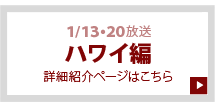 第１・２回放送「東京編」の詳細内容はこちらをクリック
