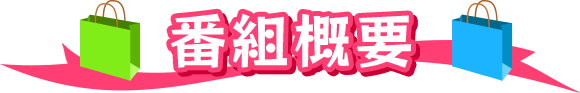 番組概要